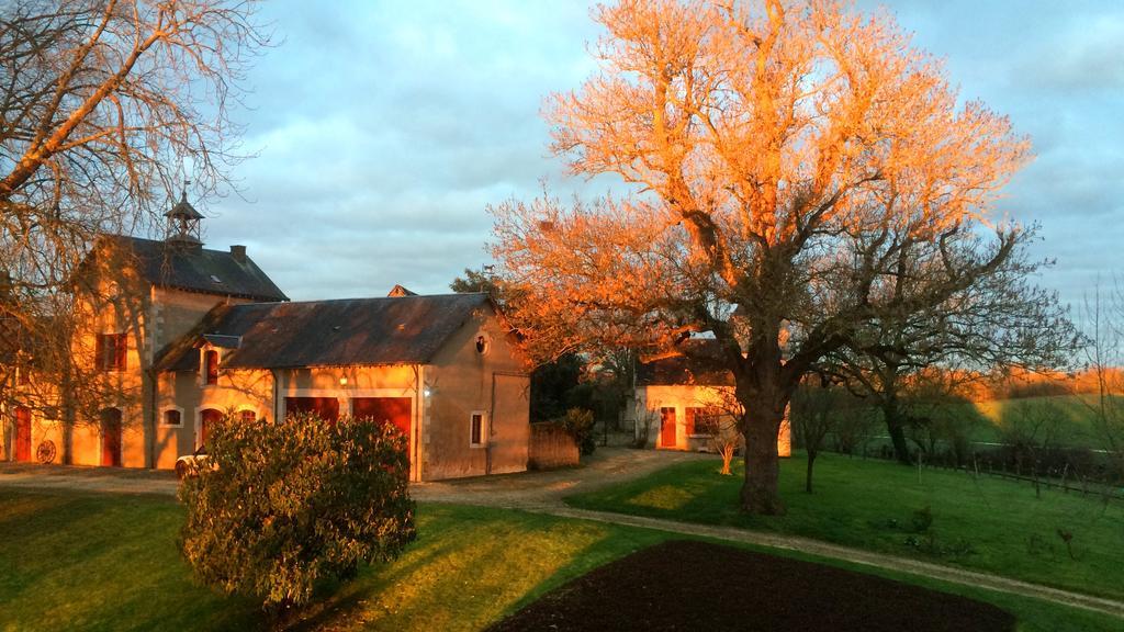 B&B Chateau De Preuil Vallenay 외부 사진